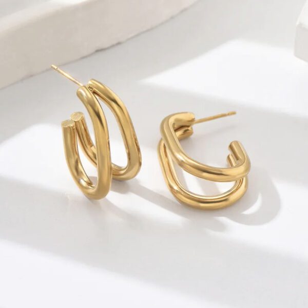 Double Hoops Earrings