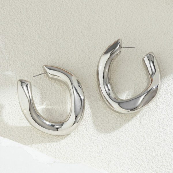 Silver Chunky Earrings